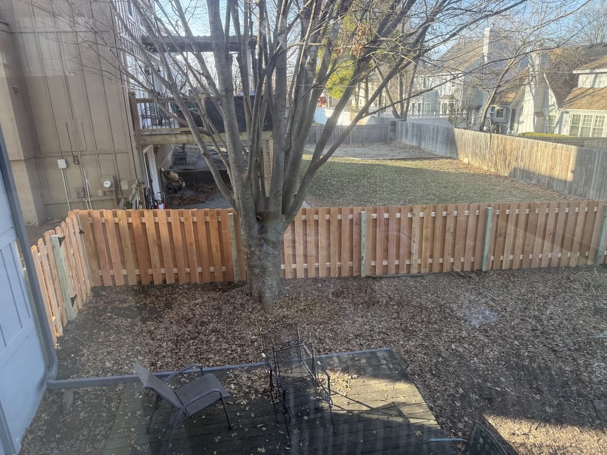 A cedar shadow-box fence enclosing a back yard